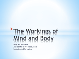 Unit 3 The Workings of Mind and Body