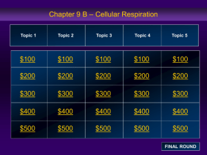 Bio Cellular Respiration Fermentation Jeopardy Review PPT