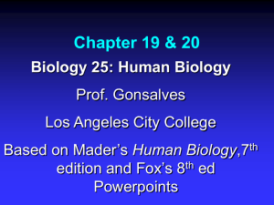 Chapter 19 - Los Angeles City College