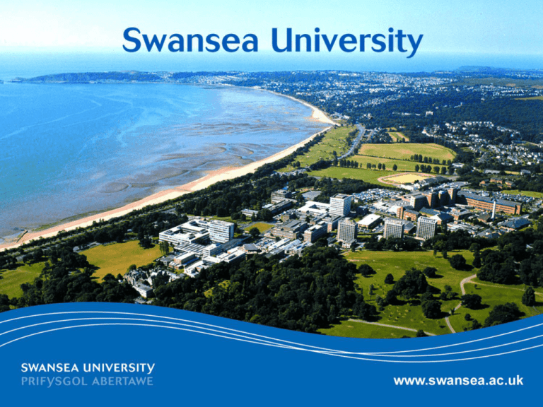 swansea university travel insurance