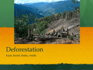 Deforestation - 2012EcosystemProject
