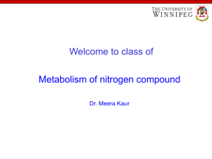 Metabolism of nitrogen compound