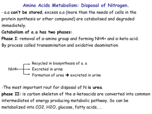 15Nitrogen metabolism