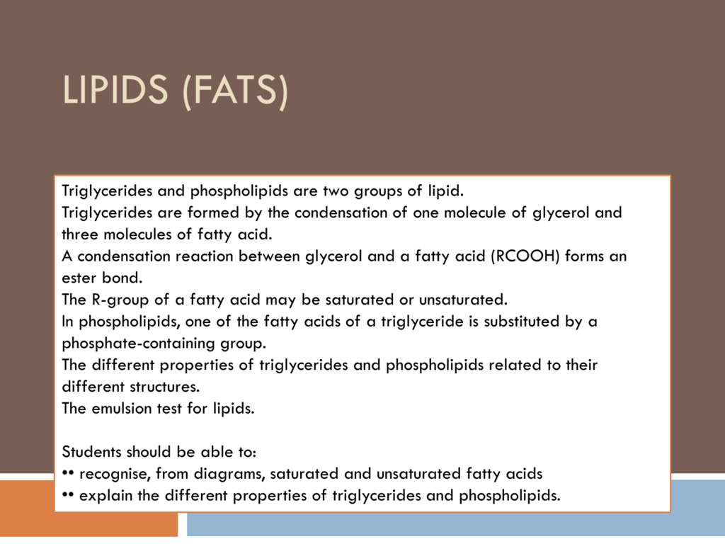 Lesson 6 7 Lipids