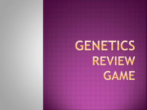Genetics Review Game