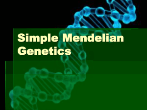 Simple Mendelian Genetics History of Genetics