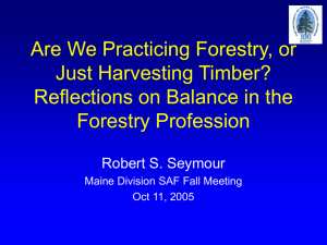 Reflections on Balance in the Forestry Profession.