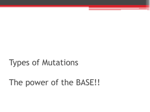 Types of Mutations The power of the BASE!!