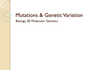 Mutations & Genetic Variation