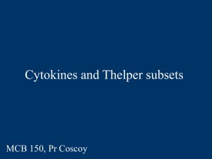 PowerPoint Presentation - Cytokines and Thelper subsets