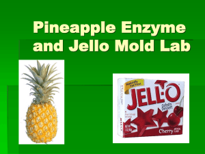 Pineapple Enzyme and Jello Mold Lab