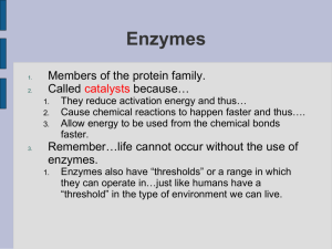 Enzymes - BartlettScience