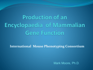 Mark Moore - International Mouse Phenotyping Consortium
