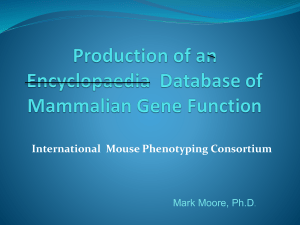 International Mouse Phenotyping Consortium