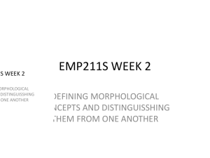 EMP211S-2015-WEEK 2 MORPHOLOGICAL CONCEPTS