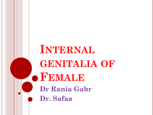 8,9- Internal genitalia of the female (2)