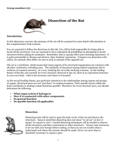 Rat Dissection - PSUSDscienceresources
