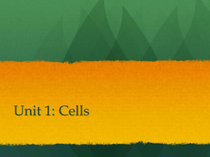 Unit 1: Cells - tasokbiology