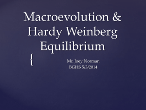 Macroevolution & Hardy Weinberg Equilibrium