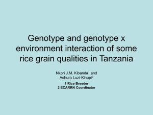 Genotype and genotype x environment interaction of some rice grain