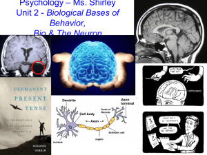 Psychology * Ms. Shirley Unit 2 - Biological Bases of Behavior, Bio