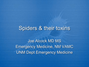 Spider - Travel and Emergency Medicine