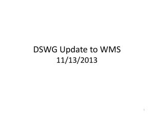 08. DSWG Update to WMS 111313