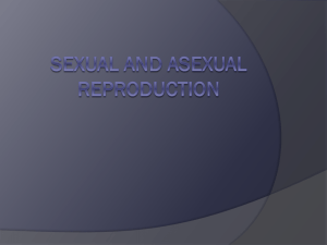 Sexual and asexual reproduction