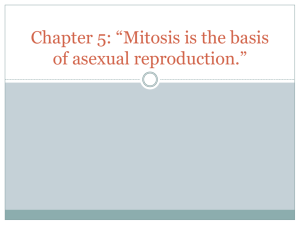 Chapter 5: *Mitosis is the basis of asexual reproduction.*
