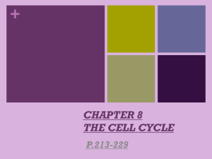 CHAPTER 8 THE CELL CYCLE