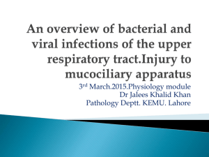 Pathology Lecture, An Overview Of Bacterial And Viral Infections By