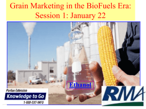 Grain Marketing in the BioFuels Era