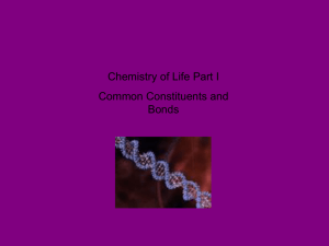 Cellular Chemistry: bonds