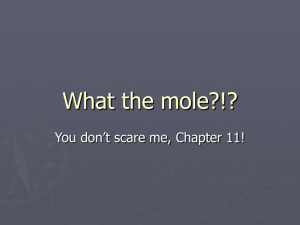 What the mole?!?