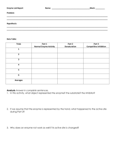 Enzyme Lab Report Template