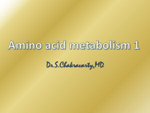 Amino acid metabolism 1