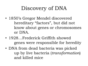 Discovery of DNA