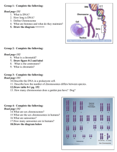 group questions chromosomes 8-1
