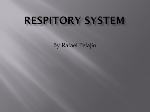Respitory system