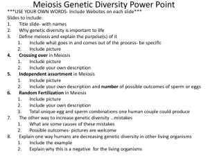Meiosis Genetic Diversity Power Point