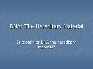 DNA: The Hereditary Material