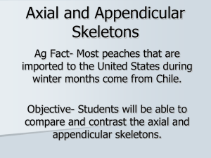 Axial and Appendicular Skeletons