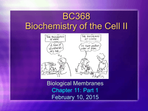 Membranes