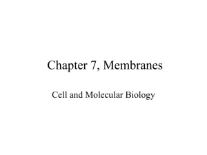 Chapter 5, Membranes
