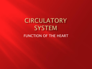 circulatory system - Havelock High School Health Occupations