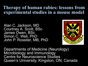 Therapy of human rabies