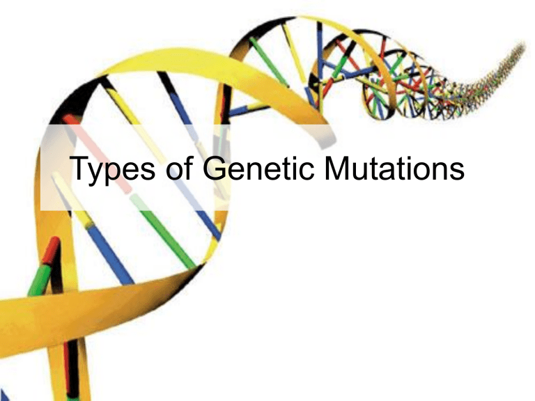 Types Of Genetic Mutations 0442