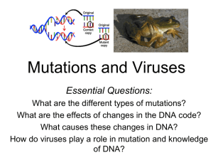 Mutations and Viruses