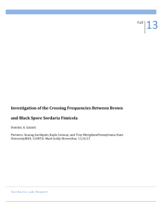 Investigation of the Crossing Frequencies Between Brown and Black