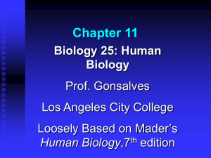 Chapter 11 - Los Angeles City College